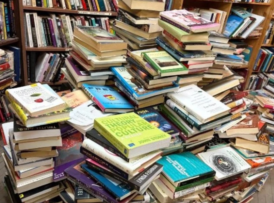 Купить книги оптом, скормить их ИИ и уничтожить